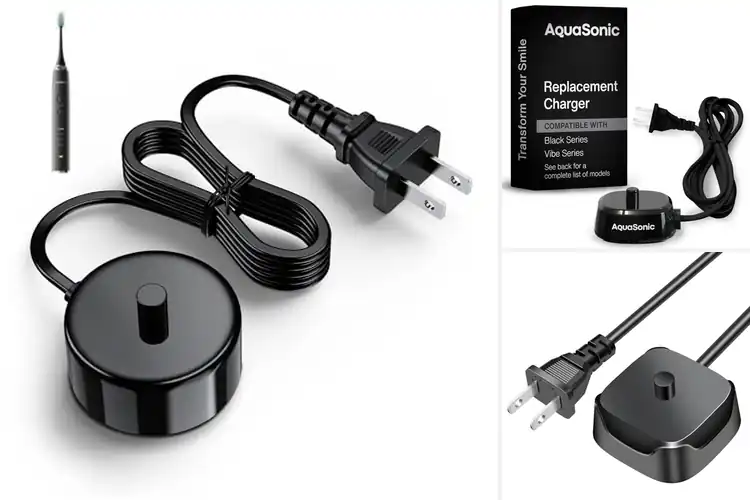 Detailed view of Best AquaSonic Toothbrush Chargers
