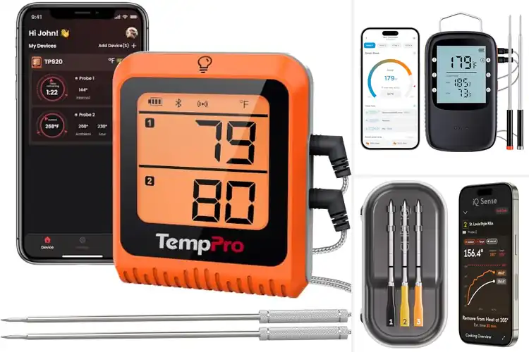 Detailed view of Best Grill Temperature Probes