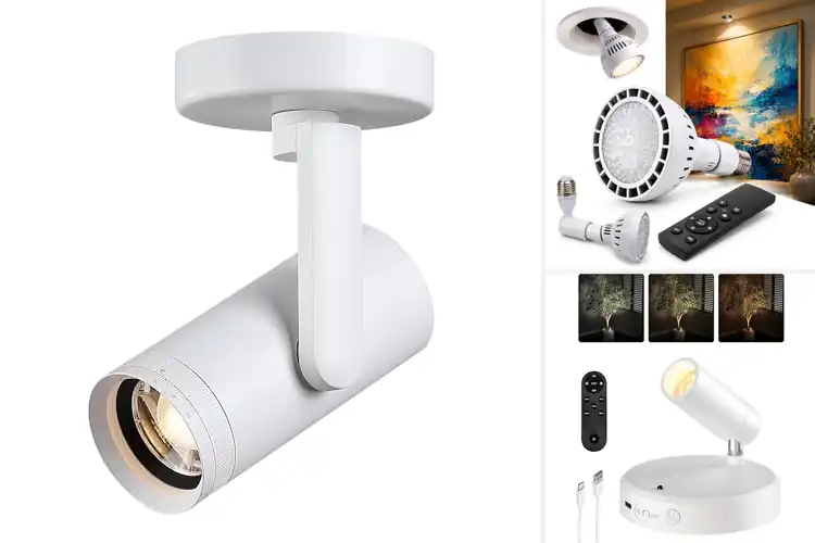 Detailed view of Best High CRI Accent Light Fixtures
