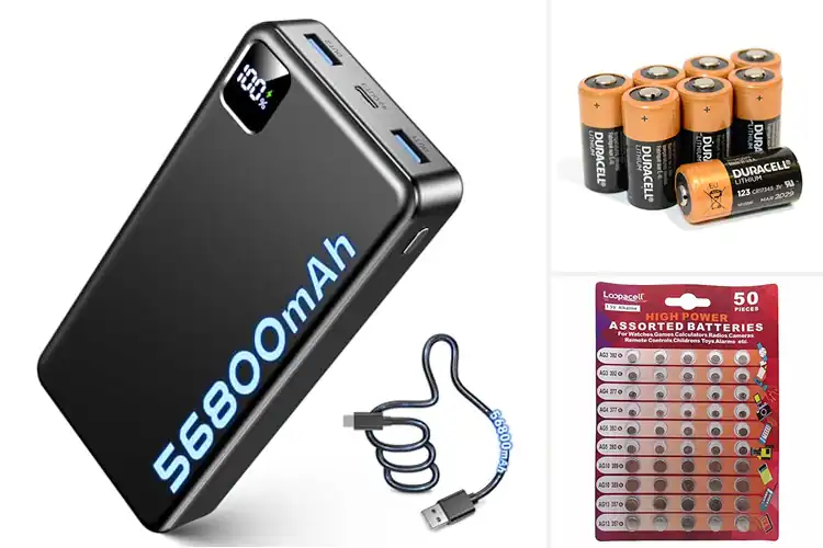 Detailed view of Best High-Powered Batteries