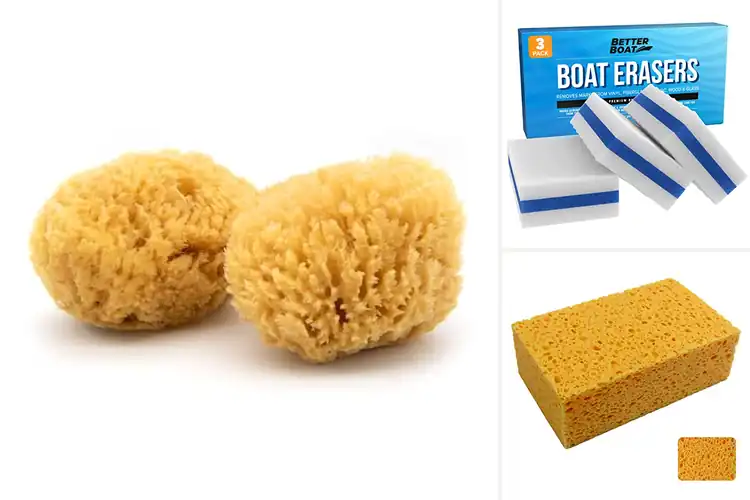Detailed view of Best Marine Sponges: Top 10 Picks for Easy Boat Cleaning