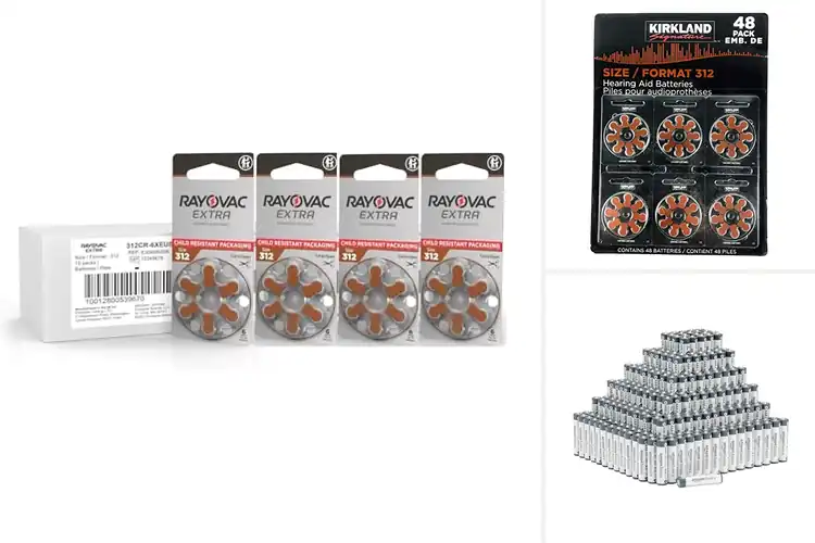 Detailed view of Best Mercury-Free Batteries