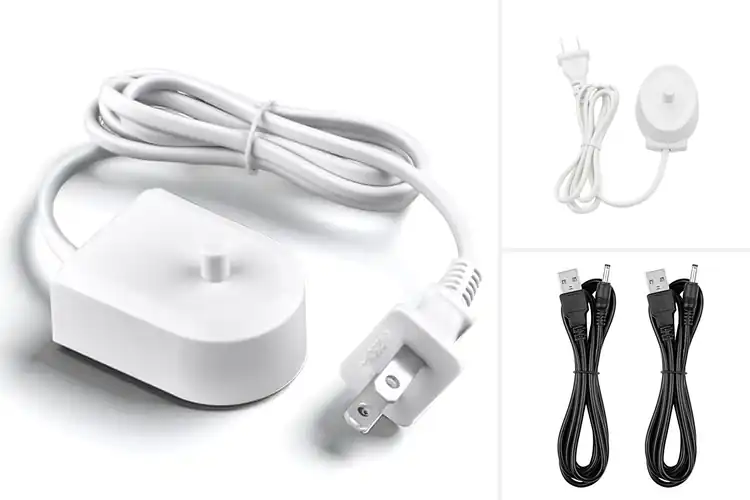 Detailed view of Best Replacement Toothbrush Chargers